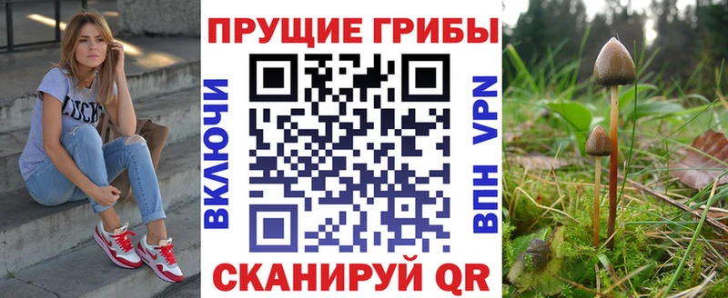 Галлюциногенные грибы мухоморы  сколько стоит  Усть-Илимск 